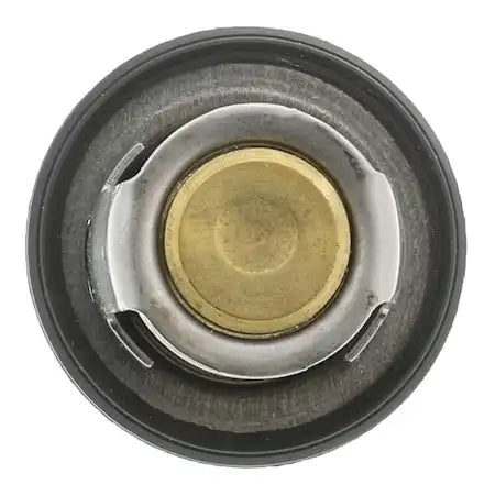 MOTOR RAD AM 1071-198 THERMOSTAT