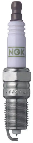 NGK 3403 TR55GP SPK PLUGS 4/BX