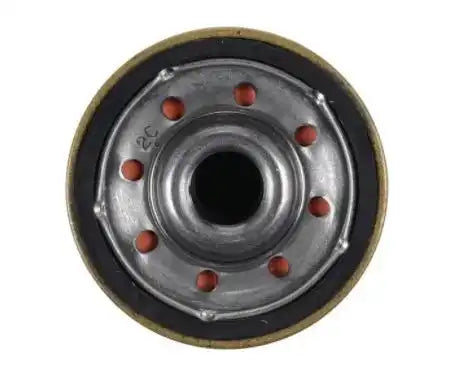 EXTENDED GUARD OIL FILTER Single