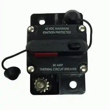 MANUAL& SWITCHABLE 80 AMP