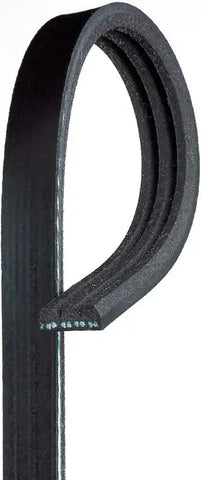 GATES CORP K030195SF V-RIBBED BELT