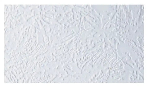 GENESIS PROD 569957 PEBBLE WHITE 100' CEILING KIT