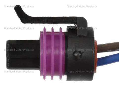 SOCKET
