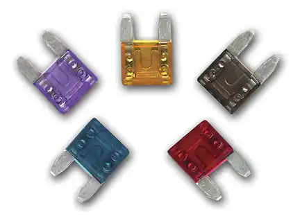 WIRTHCO 24100 SMART FUSE MINIFUSE 5PACK