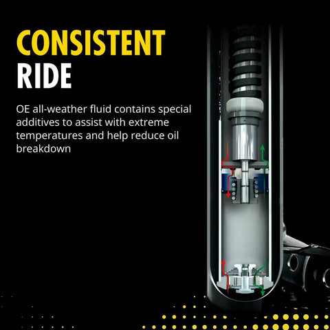 OESPECTRUM CAR SHK