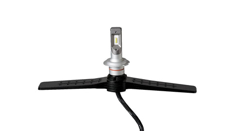 PUT-F1-H10_01.jpg