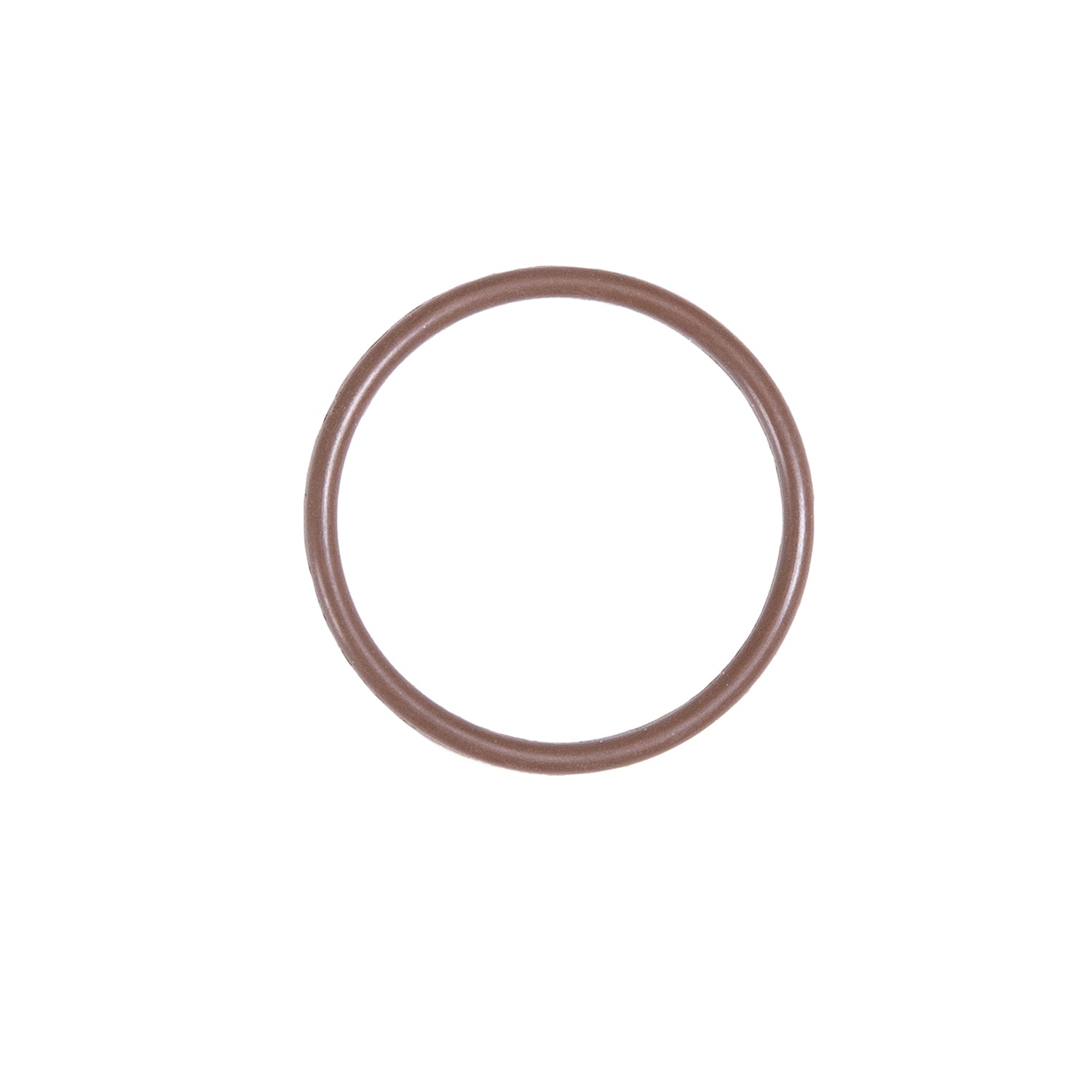 S73_5779000_FUEL FILTER O RING_1.jpg
