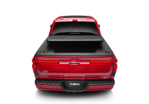 TX_LoPro_21-22-Ford_Lightning_Rear_02.jpg