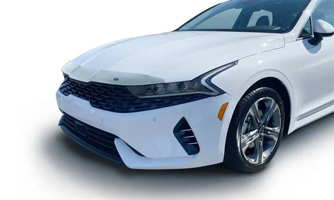 Auto Ventshade (AVS) 622199 - Aeroskin Hood Protector Chrome