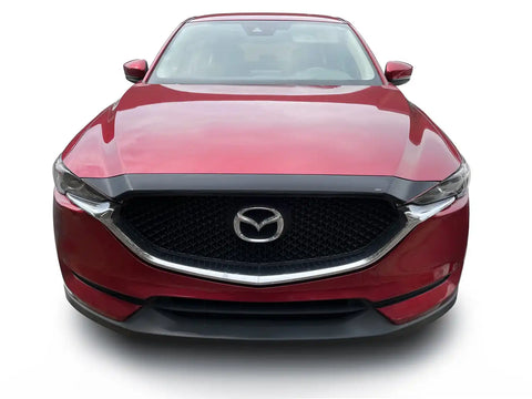 Auto Ventshade (AVS) 322179 - Aeroskin Hood Protector Smoke