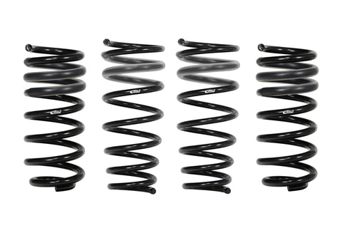 Eibach Springs E10-15-021-10-22 PRO-KIT Performance (Set of 4 Springs)