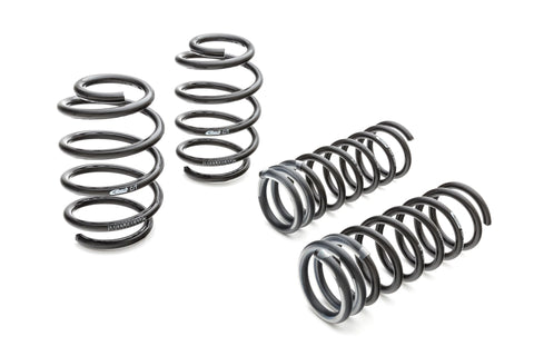 Eibach Springs E10-15-010-01-22 B12 (Pro-Kit) - Suspension Kit