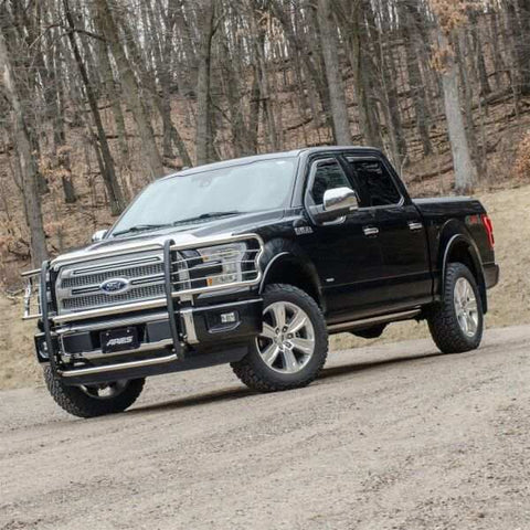 ARIES 3066-2 - Polished Stainless Grille Guard, Select Ford F-150