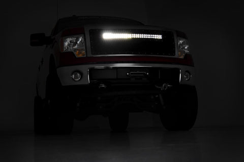 Mesh Grille | 30" Dual Row LED | Black | White DRL | Ford F-150 (09-14)