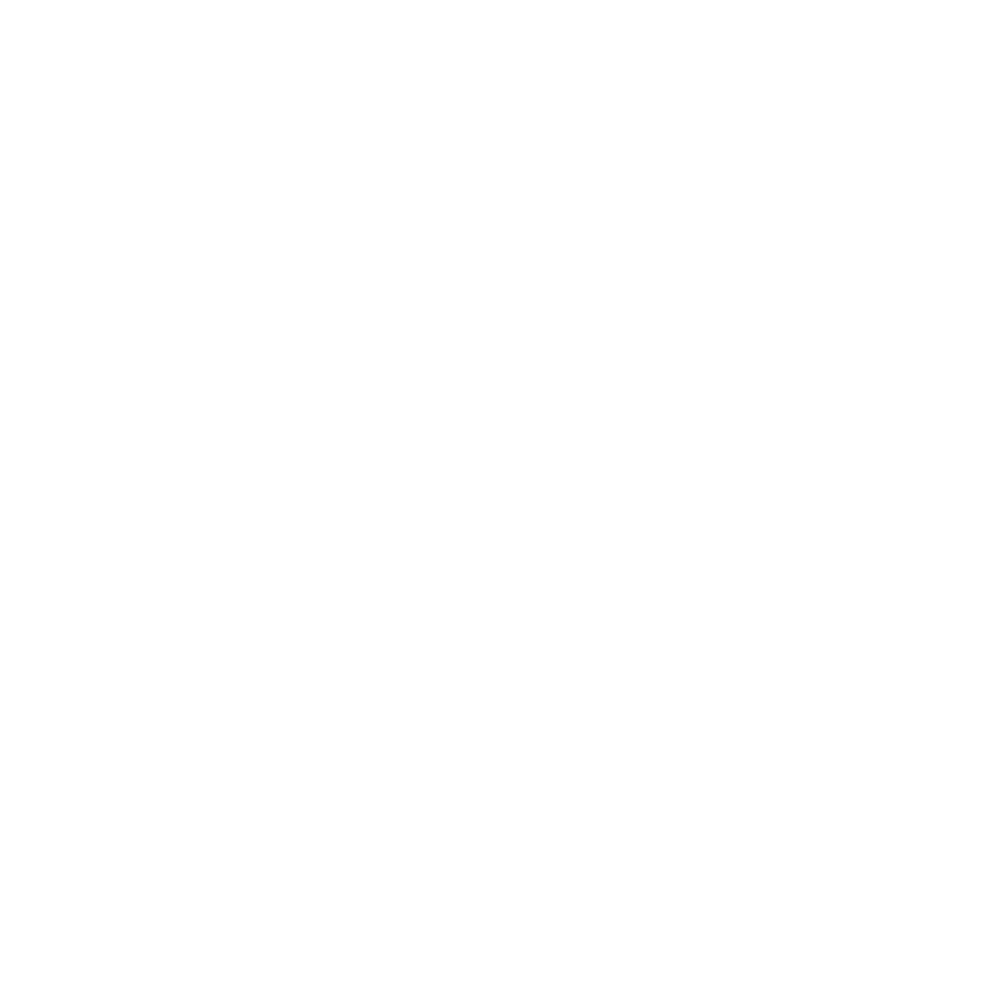 neew black horse logo white.png
