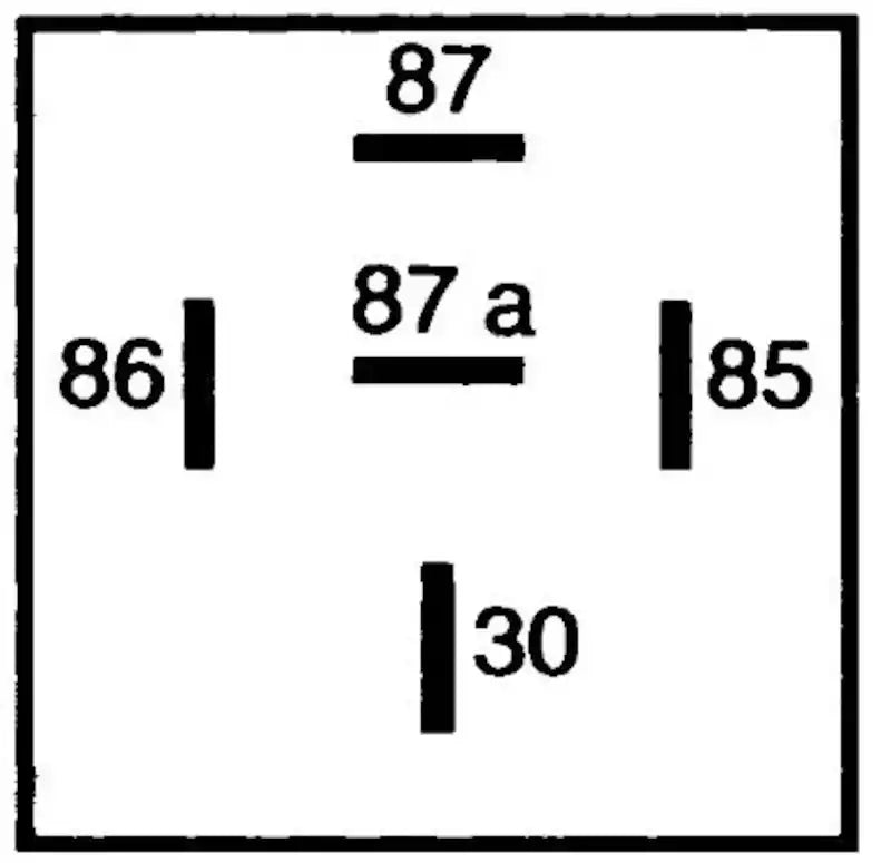007794037.PT02.jpg