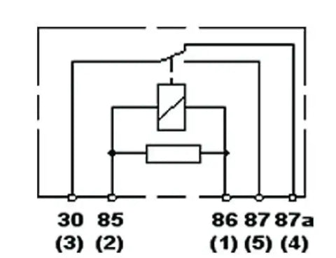 007794307.PT50.jpg