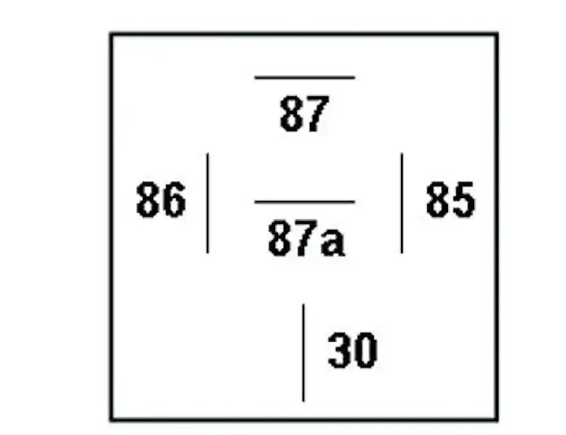 007794321.PT60.jpg