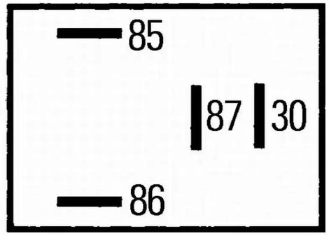 007813011.PT02.jpg
