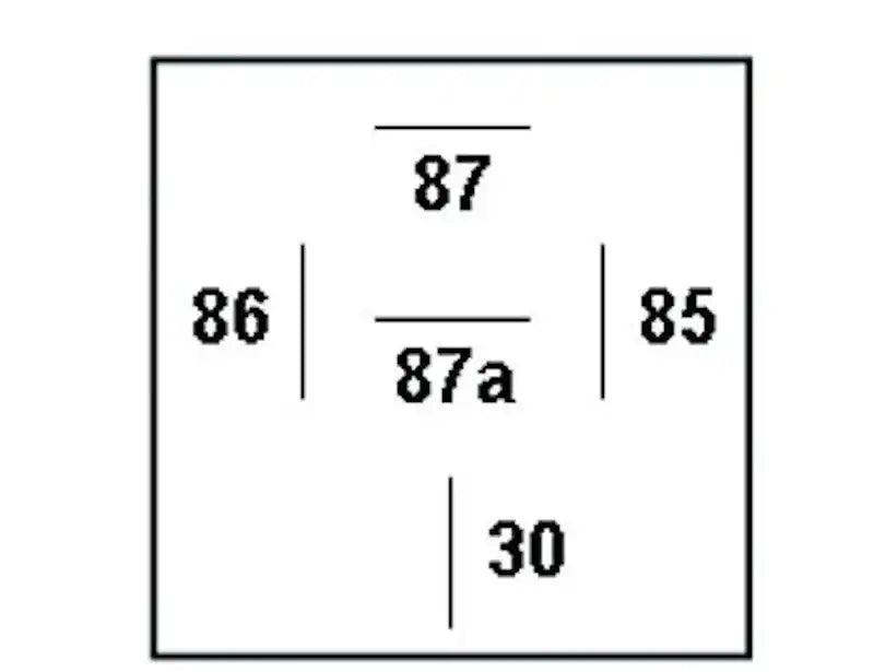007903007.PT60.jpg
