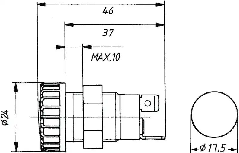008594031.PT01.jpg