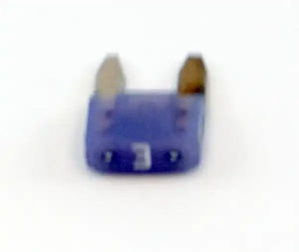 17255.06.jpg