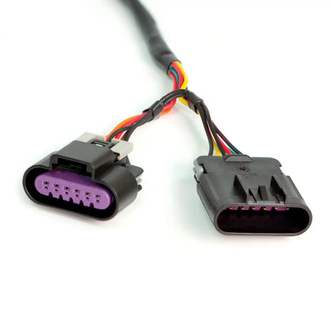 64320_Harness_Close_Up_web.jpg