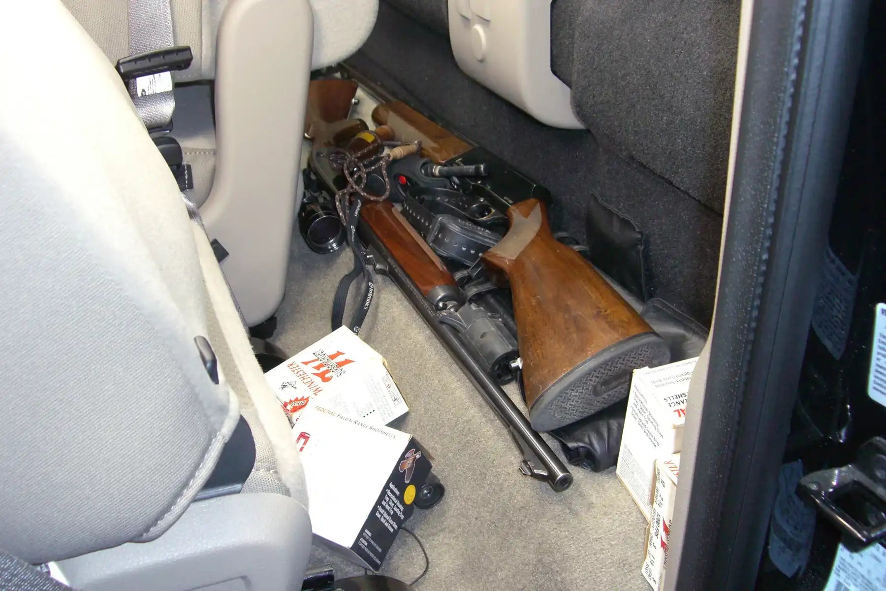 20054_v10.jpg