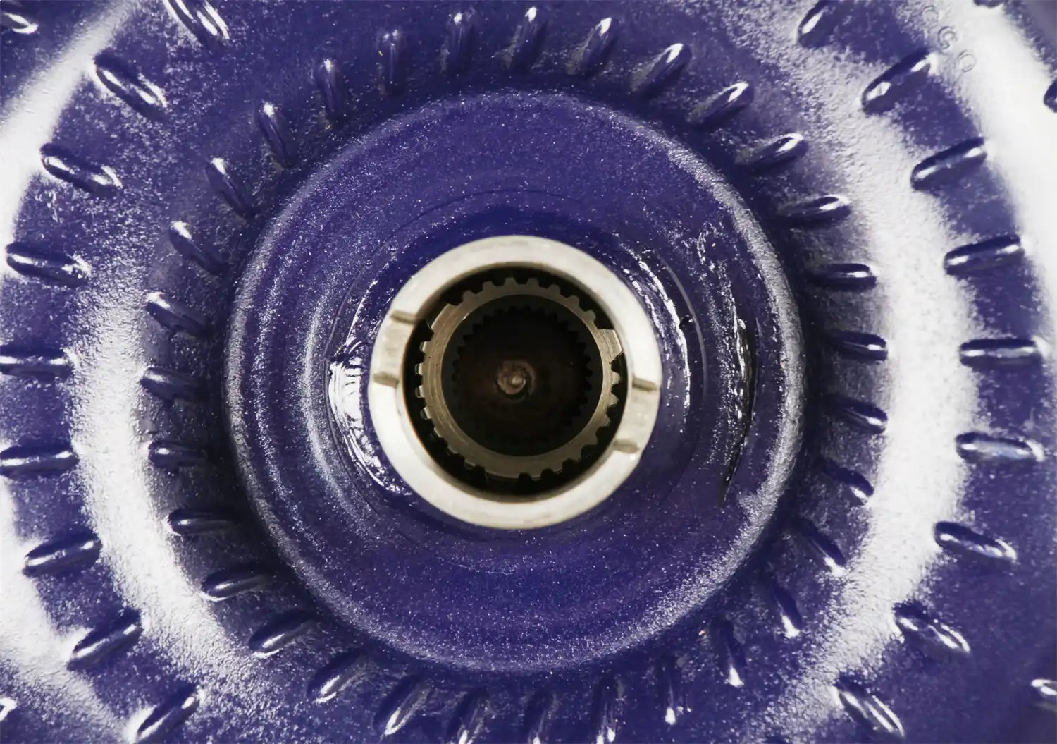 20402_09.jpg