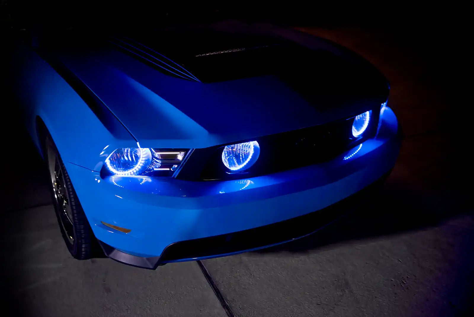 2302-001_E.jpg