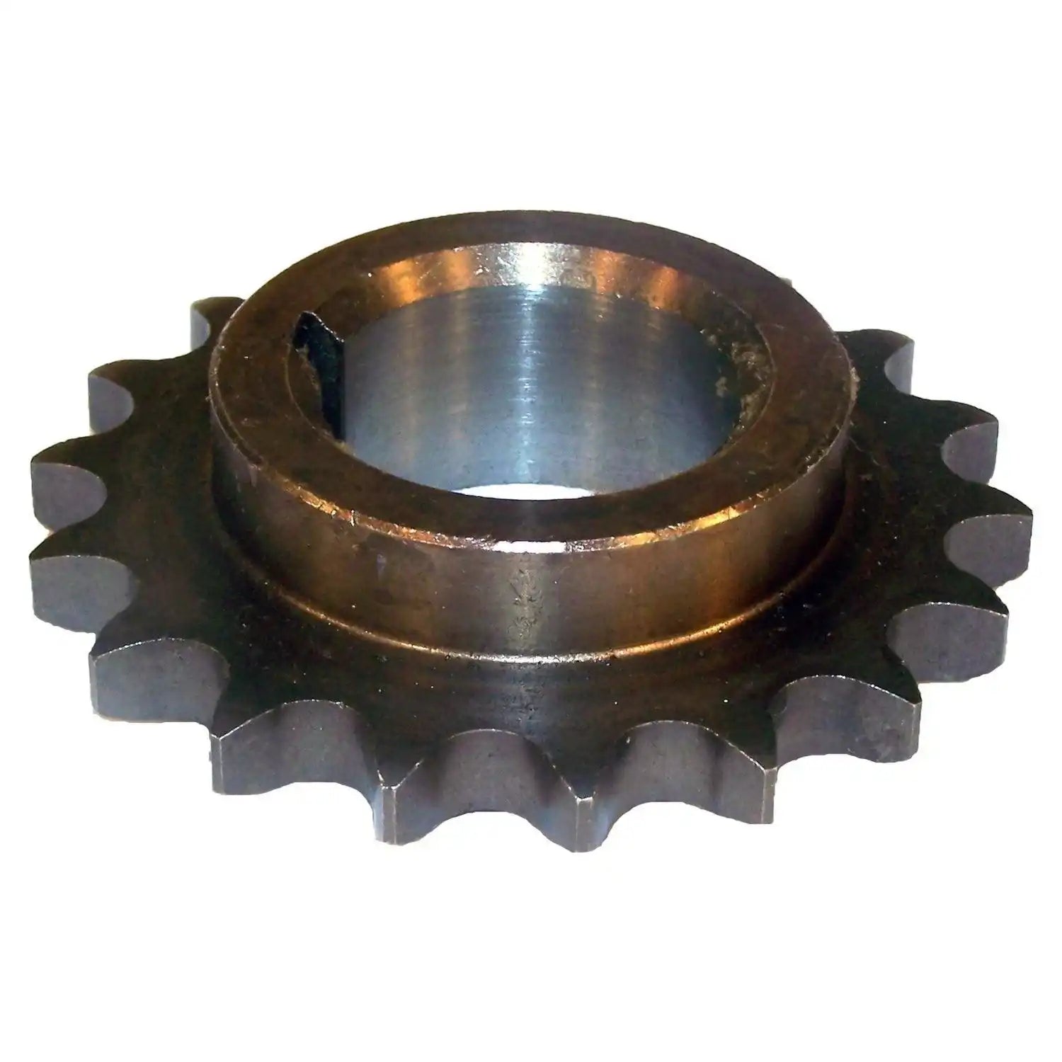 33002979.jpg