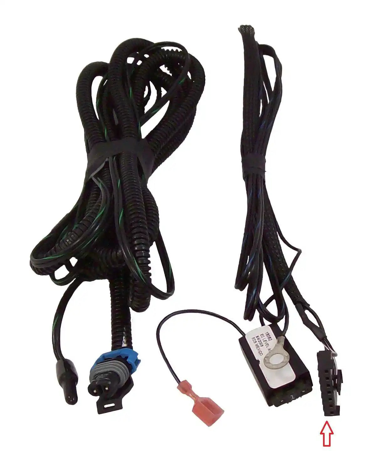 36500WIRE_v1_20110114.jpg