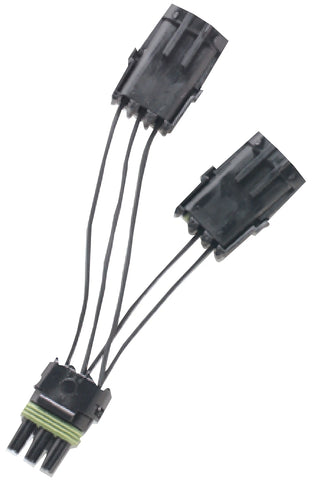 377200.jpg
