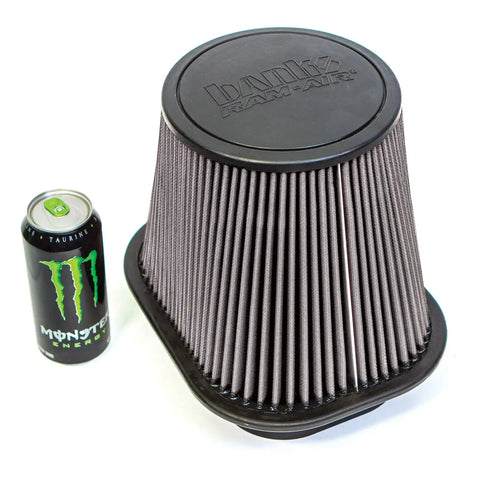 41890d_Ford_RamAir_filter.jpg