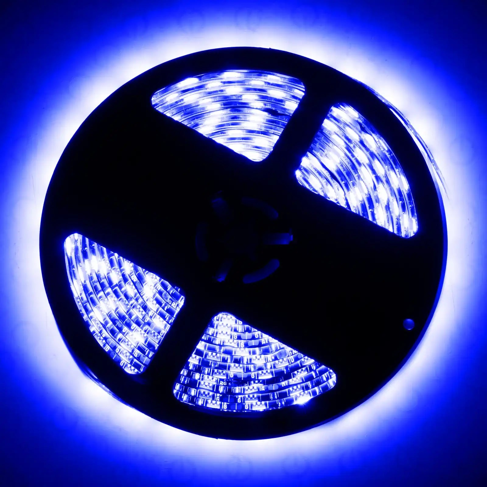 4223-007_B.jpg