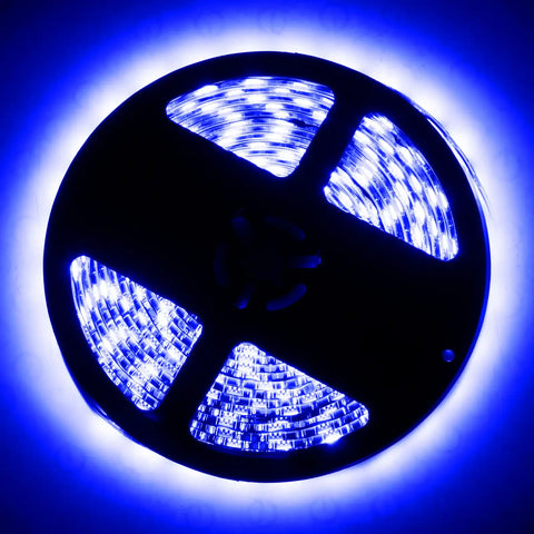 4223-007_B.jpg