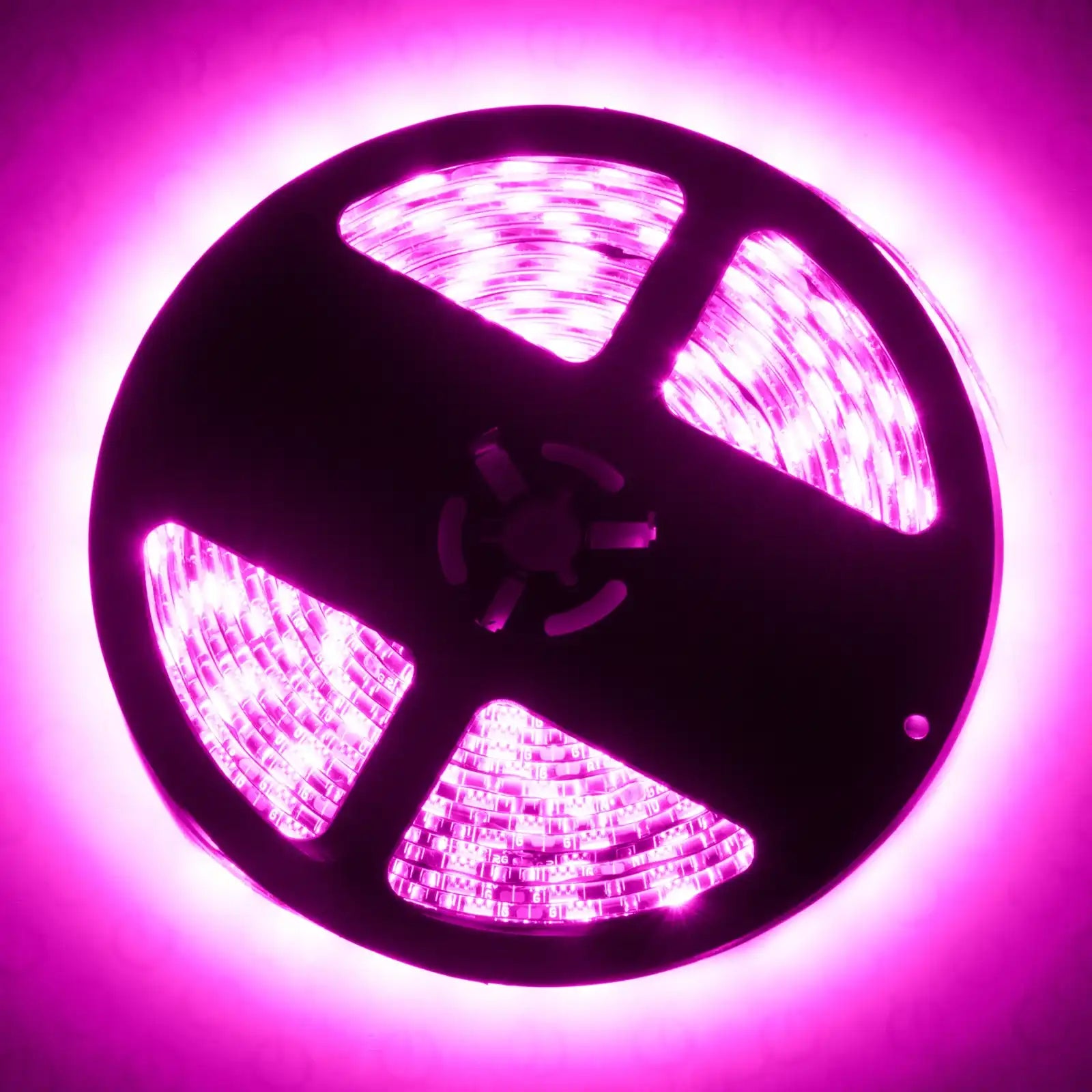 4223-009_B.jpg