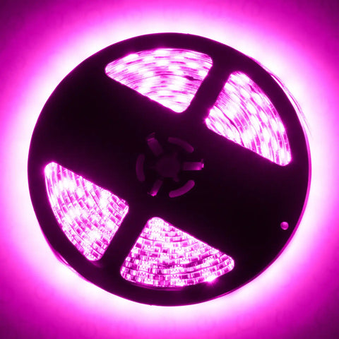 4223-009_B.jpg
