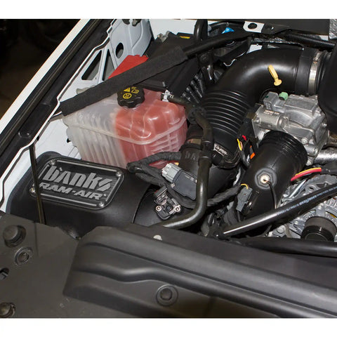 42250-D_4_chevy_LML_ramair.jpg