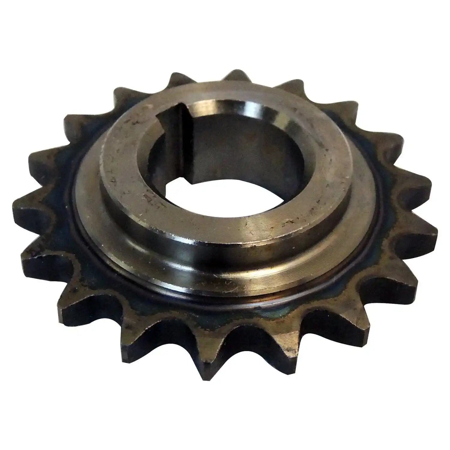 4483485.jpg