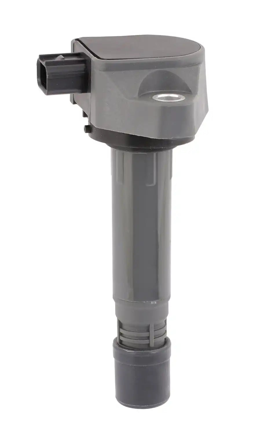 450582.jpg