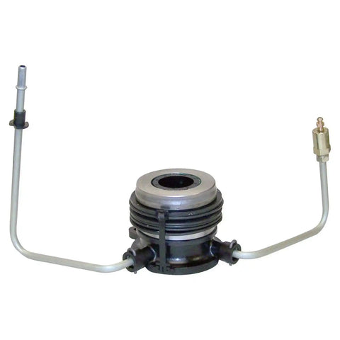 4728735.jpg