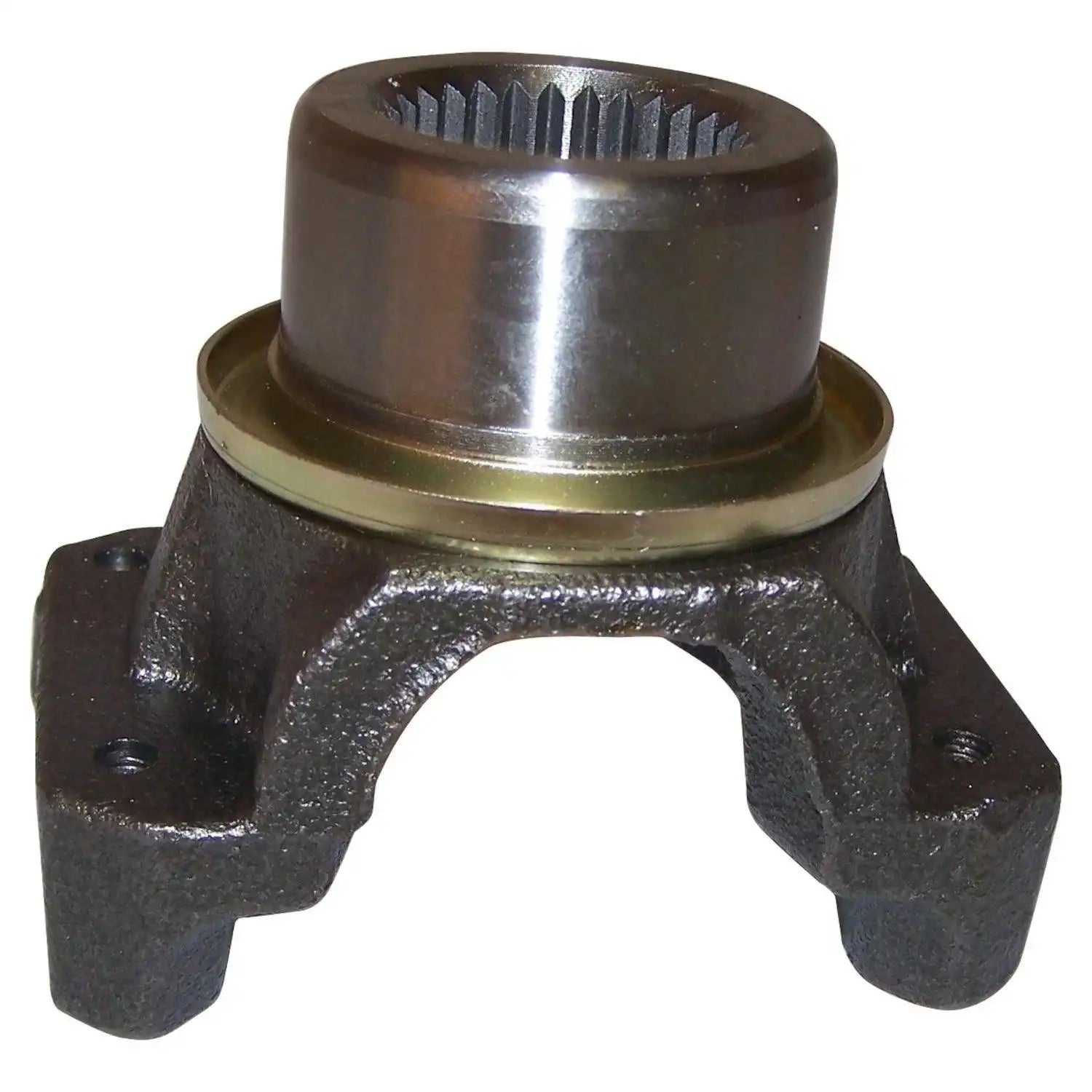 4856345.jpg