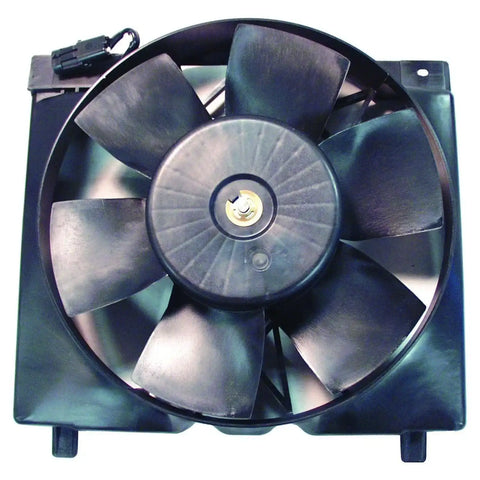 52005748.jpg