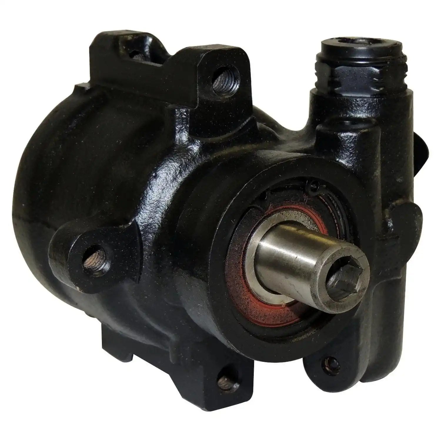 53004817R.jpg