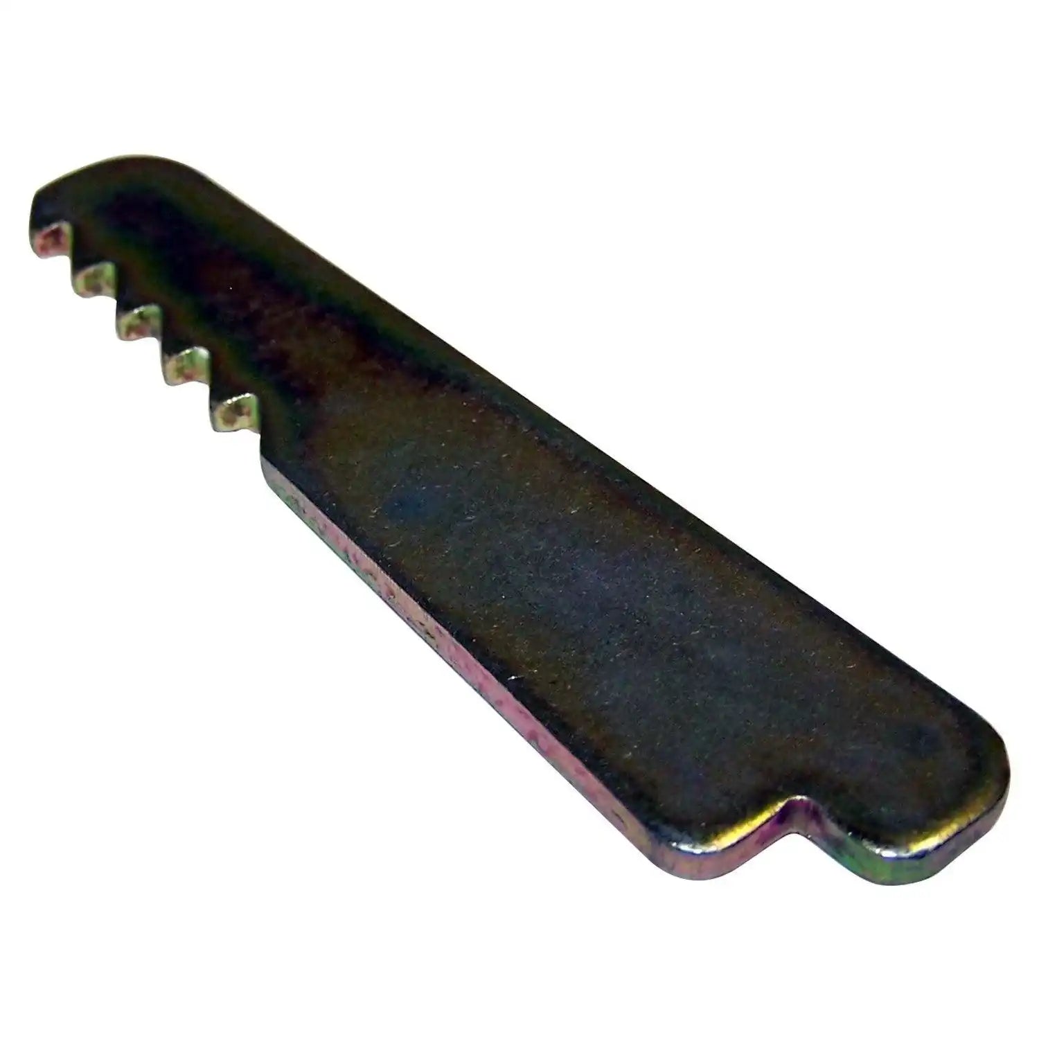 55076221.jpg