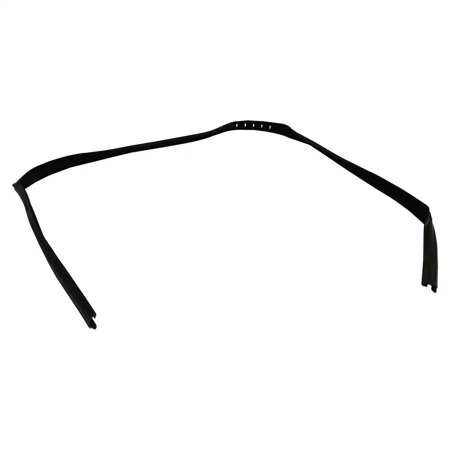 55395174AA.jpg