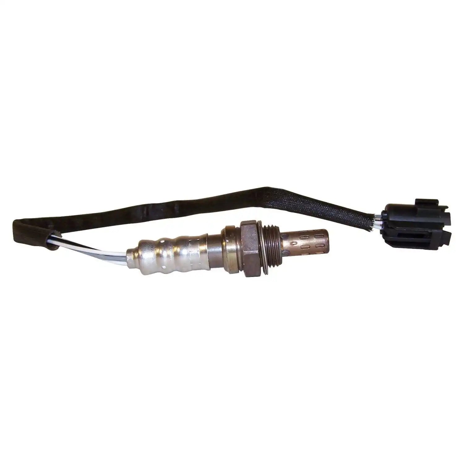 56041345AD.jpg