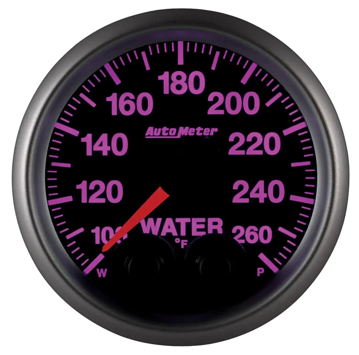 5654_magenta.jpg