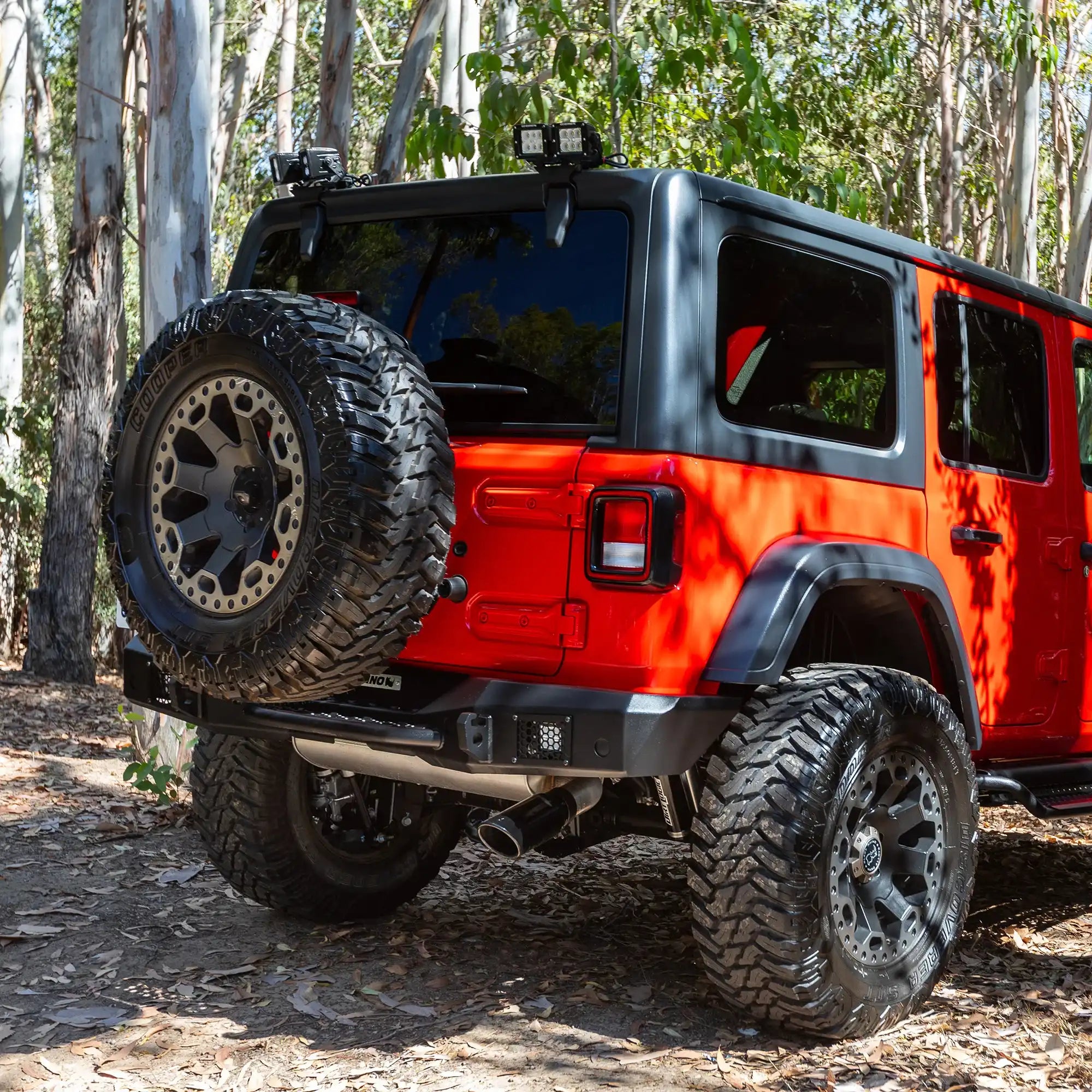599502T_06.jpg